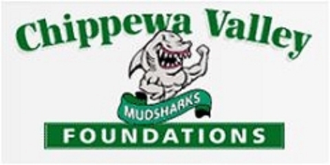 Virtual Vision Computing launches new Website for Chippewa Valley Foundations 